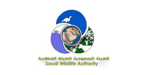 د/ عادل أحمد الشعيبي

Dr. Adil Ahmed

Saud Alshoaibi
