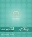 الصورة