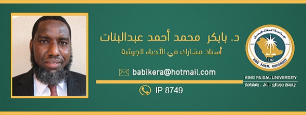 د بابكر3.jpg