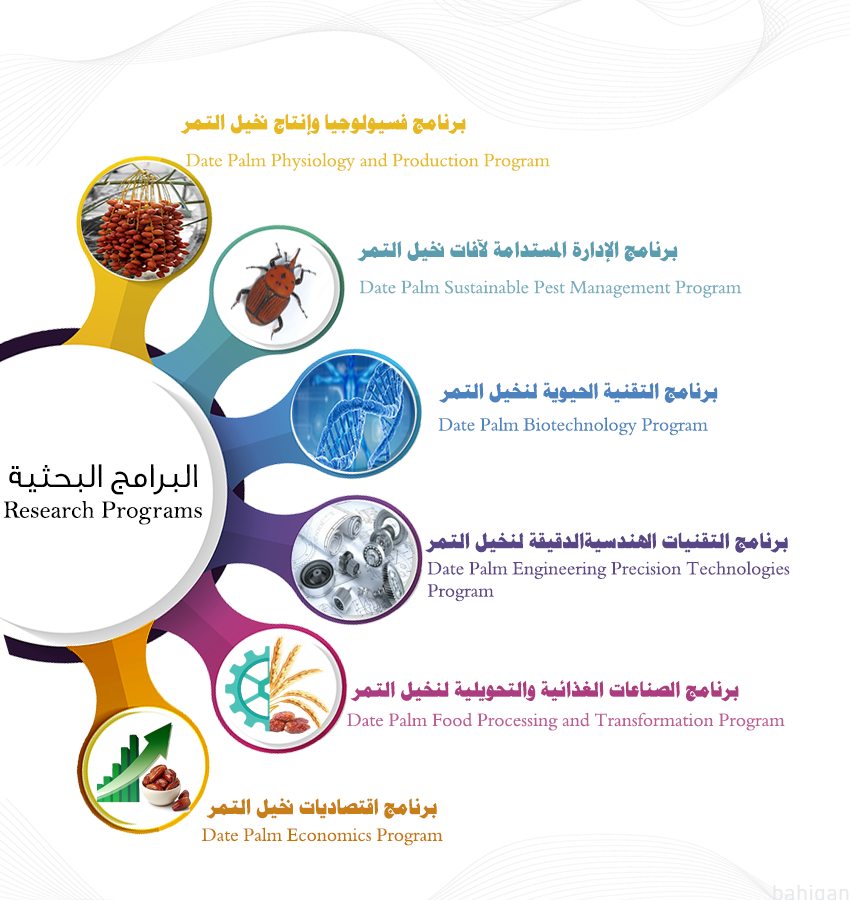 البرامج البحثي.png