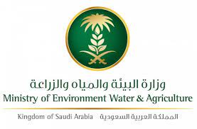 وزارة.jfif