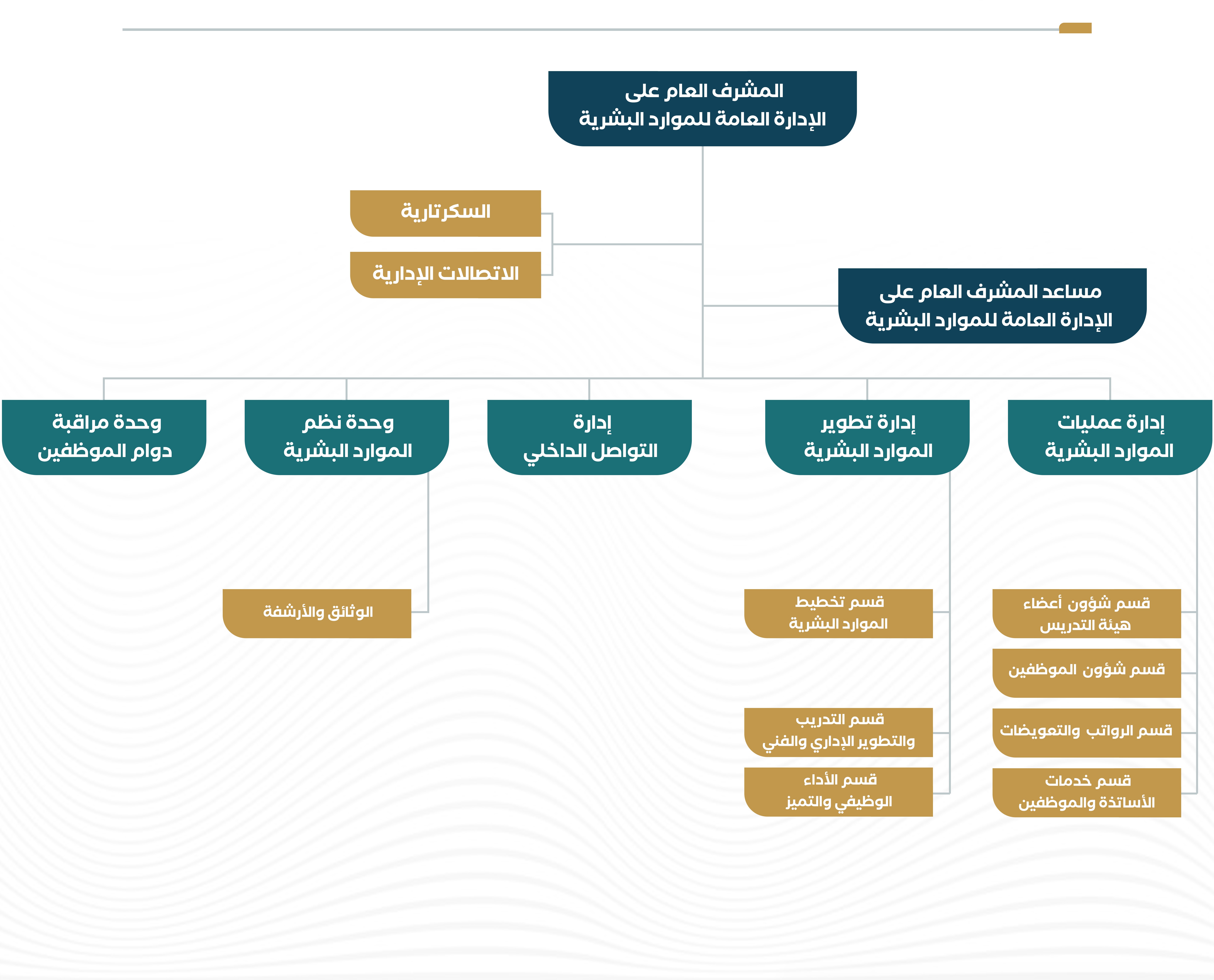 1الهيكل التنظيمي.jpg