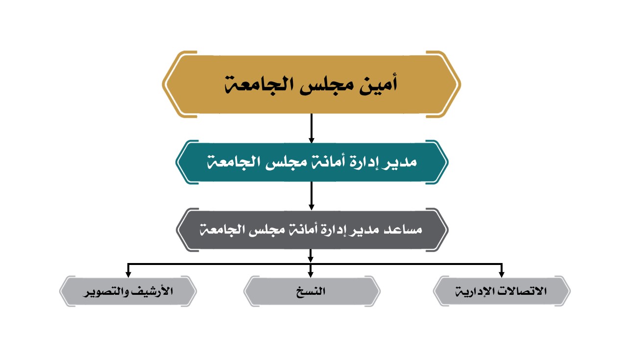 Organizational Chart.jpg