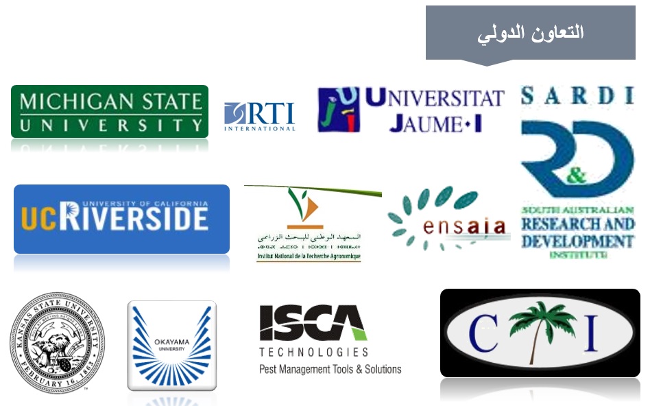 التعاون الدولي عربي.jpg