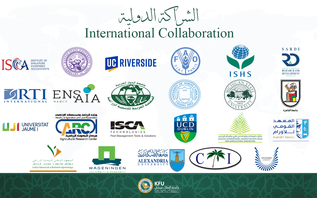 الشراكة الدولية.png