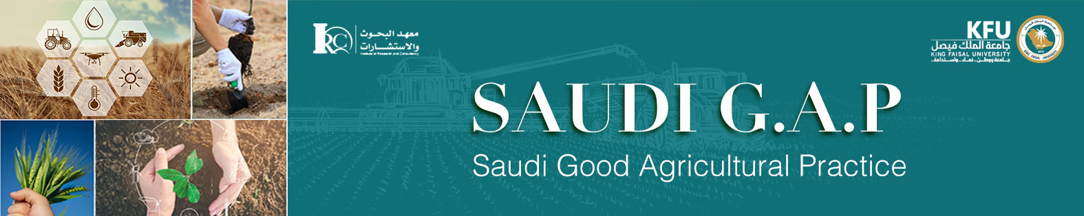 سعودي قاب ٢.jpg