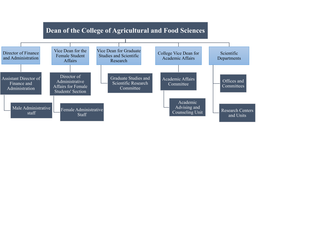 Organizational Chart.png