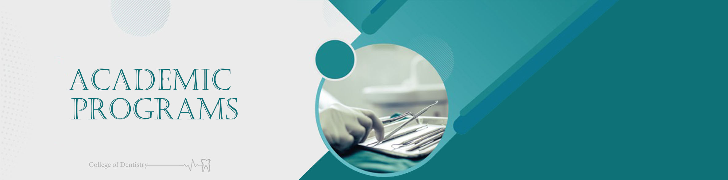 Academic Programs For Collage of Dentistry
