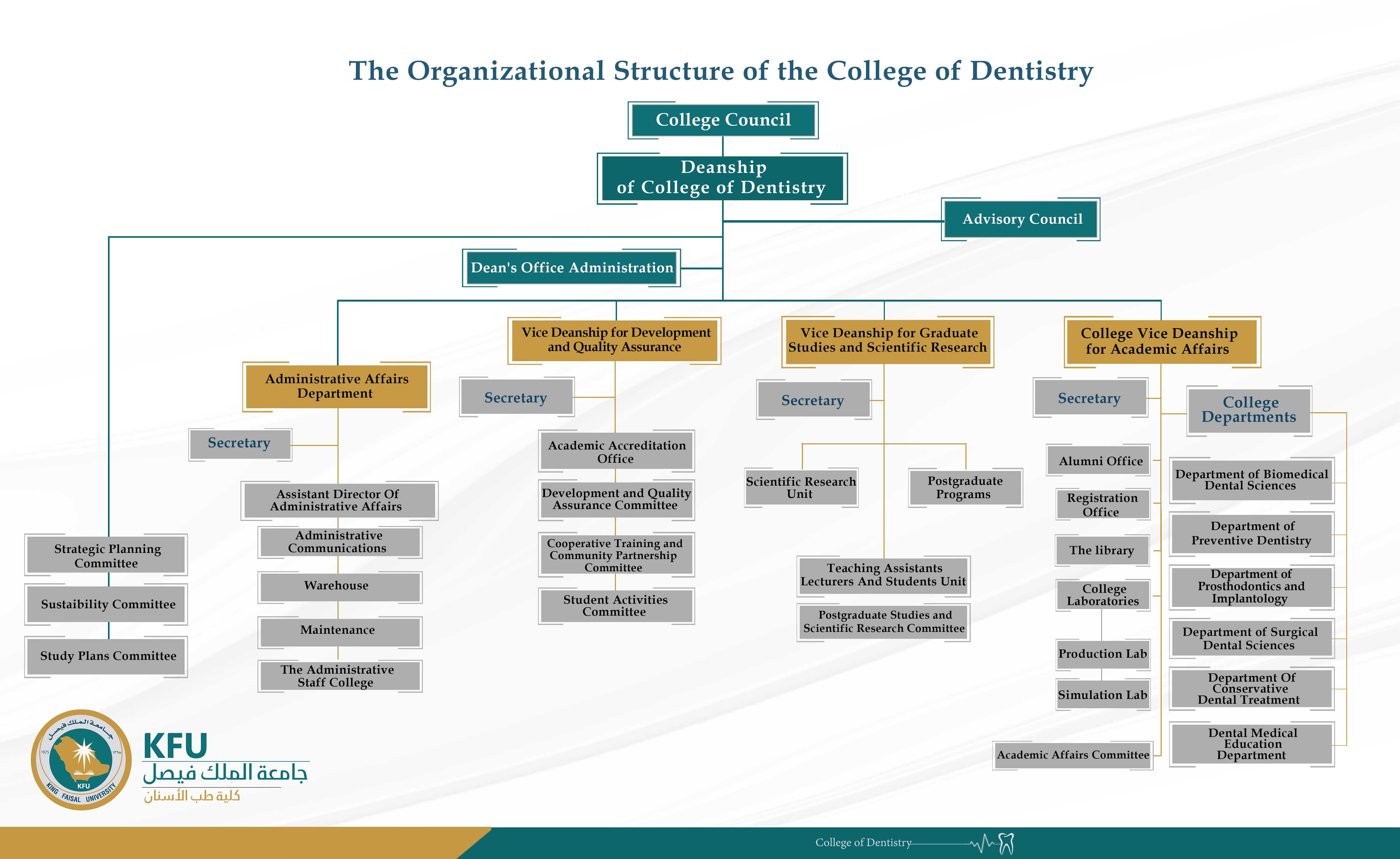 The Organizational 2024 (1).jpg