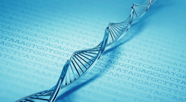 DNA.jpg