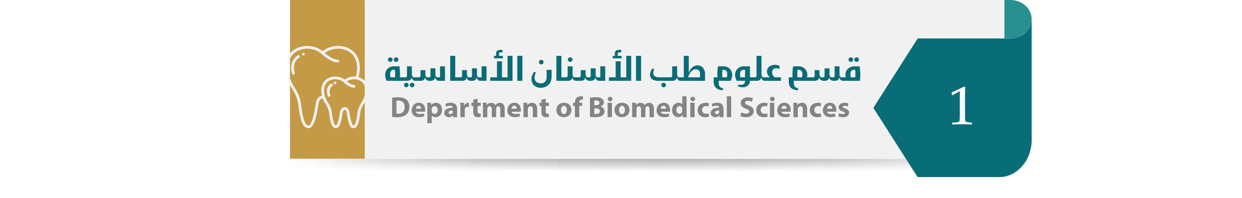 Department of Biomedical Sciences.jpg